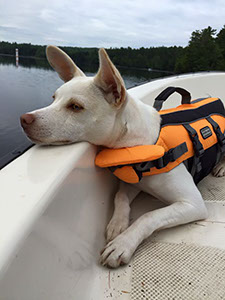 %_tempFileName11231691_10207821526804002_1191419423684951079_n%