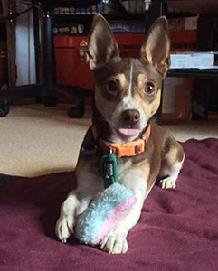 %_tempFileName11800587_10101975463532042_3838109875744786935_n%