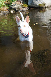 %_tempFileName11845015_10207660496498345_1570114408444273650_o%