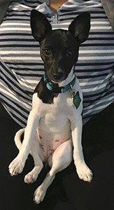 %_tempFileName12087976_817174971732423_4570670514873001474_o%