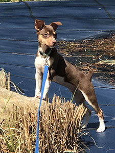 %_tempFileNameAngilTimba2018%