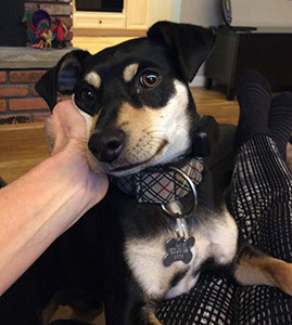 %_tempFileNameAngilsmaletuxedo%