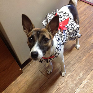 %_tempFileNameCrystalTimba%