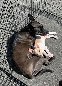 %_tempFileNameIMG_3013%